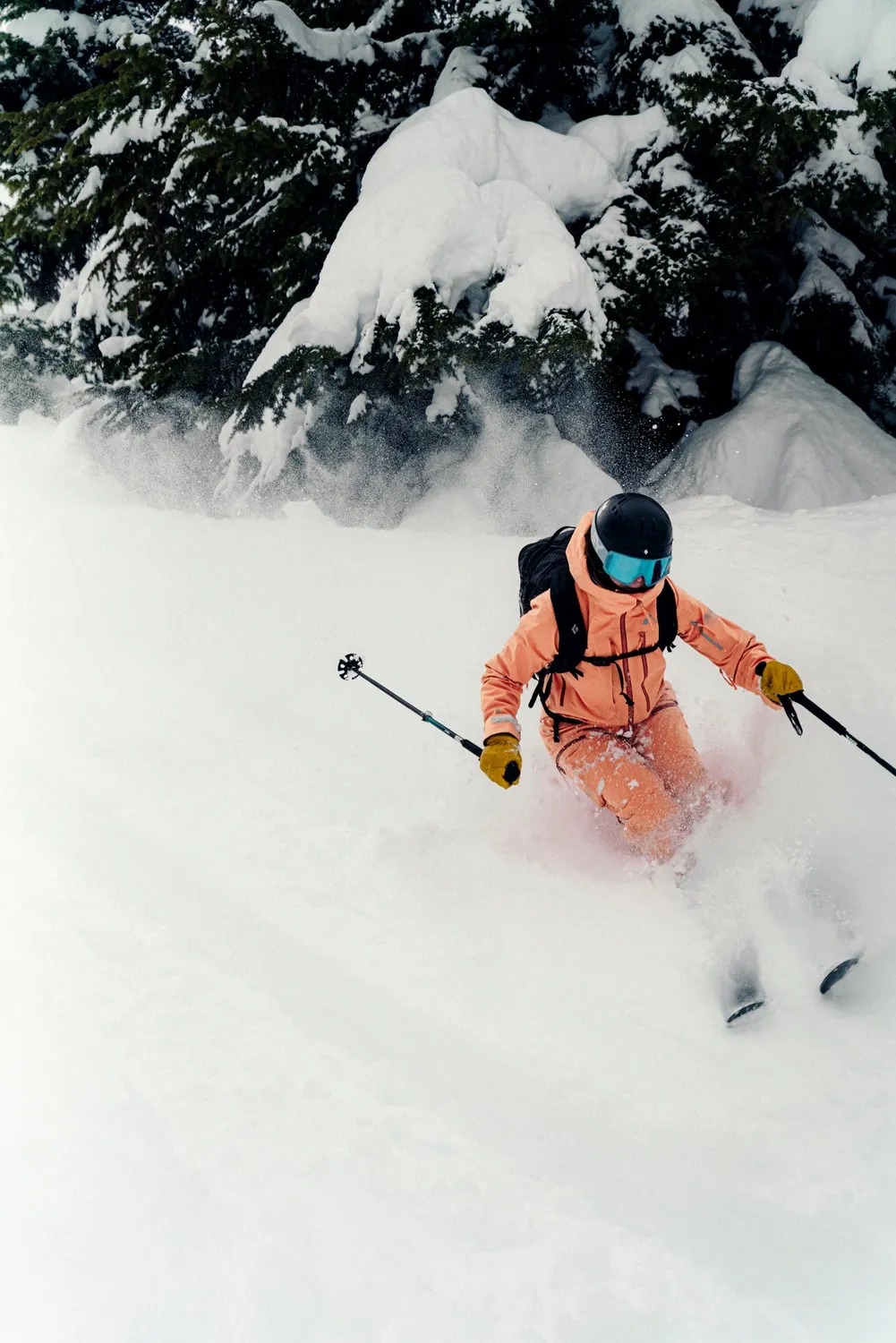 Orage MTN-X Panorama 3L veste ski femme juniper imperméable