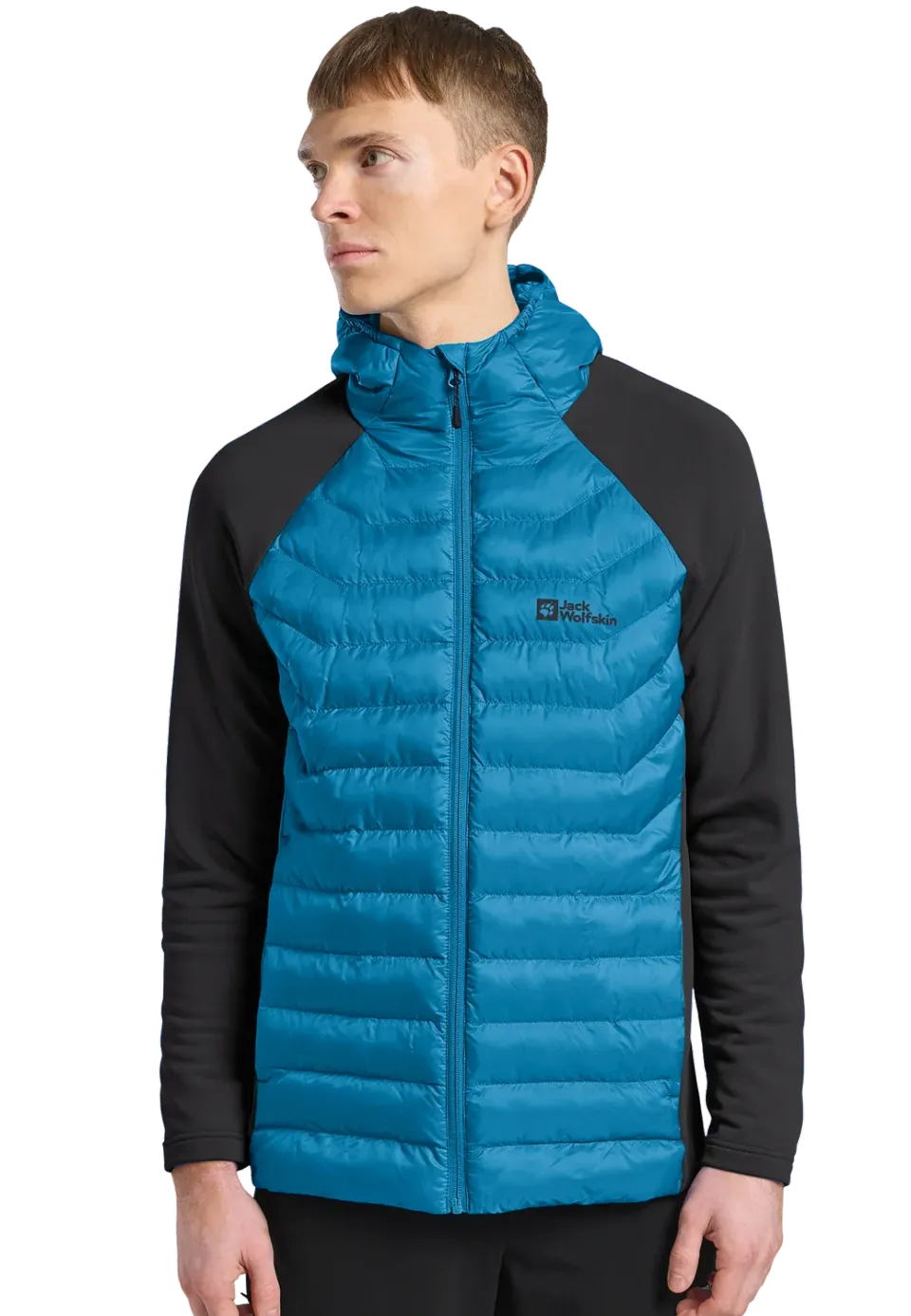 Jack Wolfskin Routeburn Pro Hybrid M veste homme déperlante