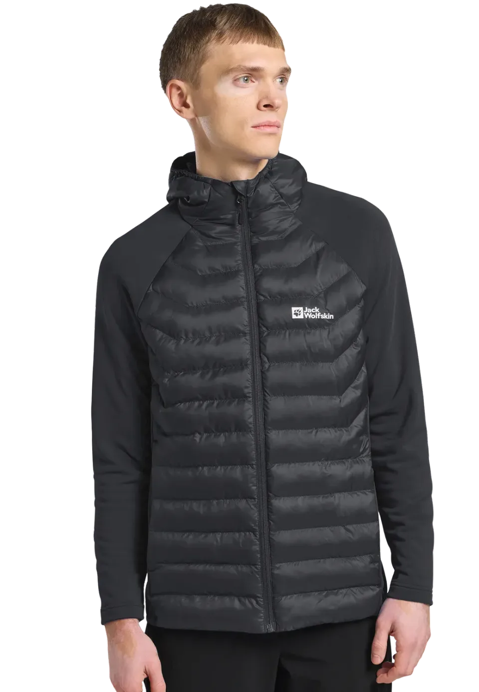 Jack Wolfskin Routeburn Pro Hybrid M veste homme coupe-vent