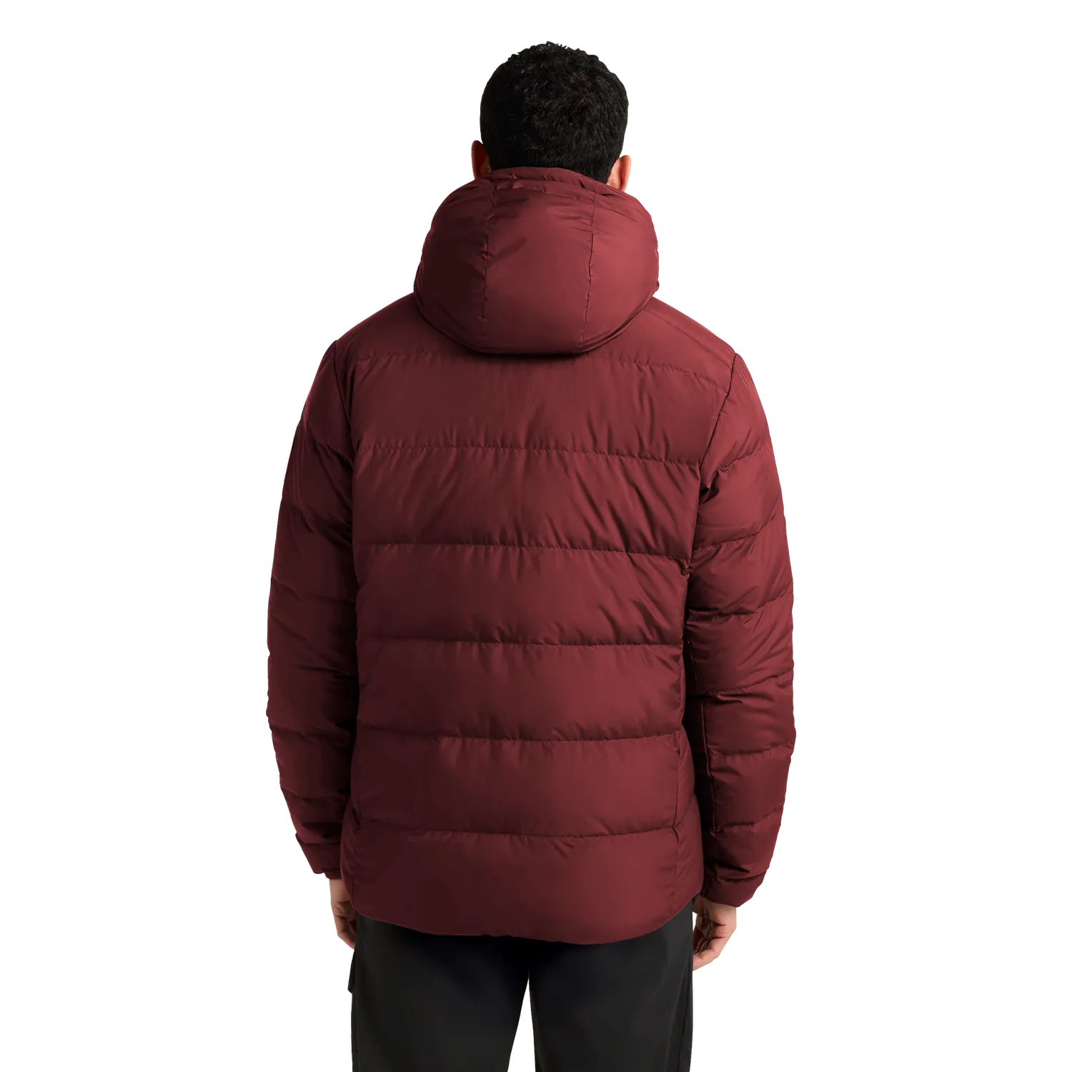 Jack Wolfskin Colonius JKT M doudoune homme duvet déperlant