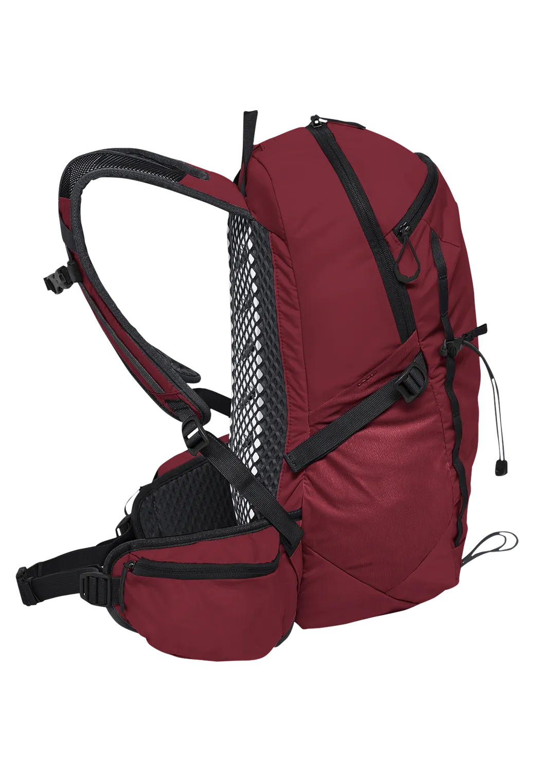 Jack Wolfskin Cyrox Shape 20 sac à dos 20 L ventilé