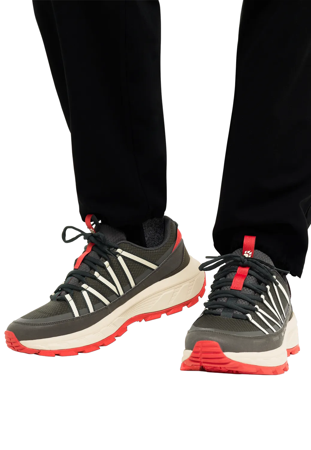 Jack Wolfskin Wild Hike Texapore Low chaussures homme