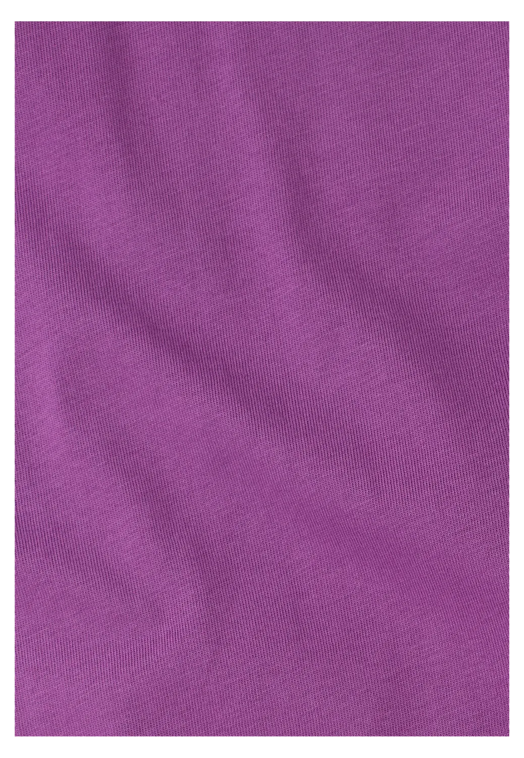 Jack Wolfskin Celebrate the Paw t-shirt homme coton décontracté